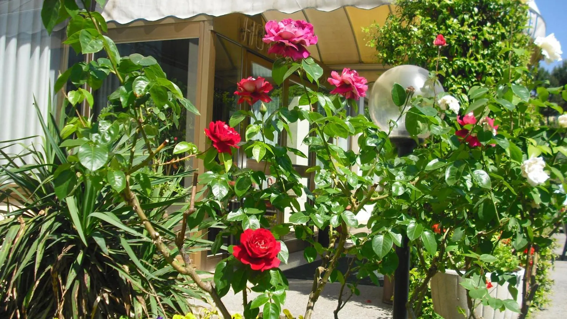 Park Hotel Galileo Reggello